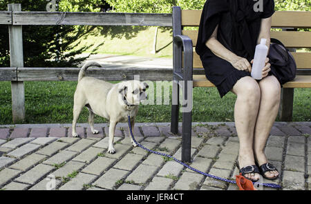 Ältere Dame mit ihrem Hund sitzen, relaxen und entspannen mit ihrem Haustier, Unternehmen Stockfoto
