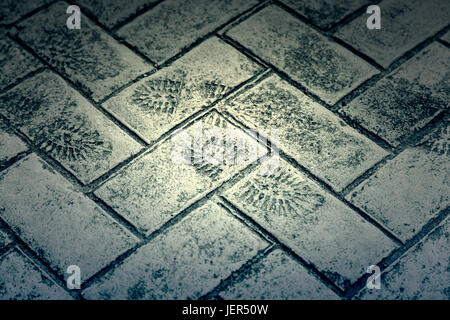 Fußabdruck auf Zement, Detail des Shoeprint, Zeichen Stockfoto