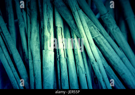 Zimt-sticks, Detail einer aromatischen Würze, gesunde Ernährung Stockfoto