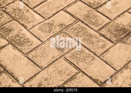 Fußabdruck auf Zement, Detail des Shoeprint, Zeichen Stockfoto