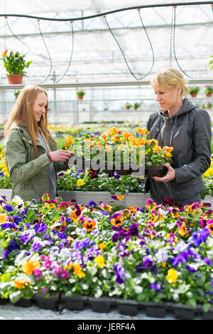 Mutter mit Tochter Auswahl Blumen im Garten Center Stockfoto