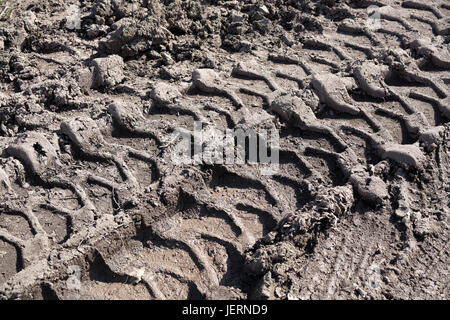 Schmierspuren auf einen schlammigen Feldweg Stockfoto