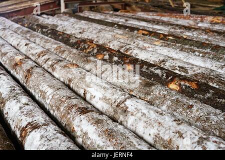 Verschneite Protokolle liegen in Reihe am Sägewerk Stockfoto