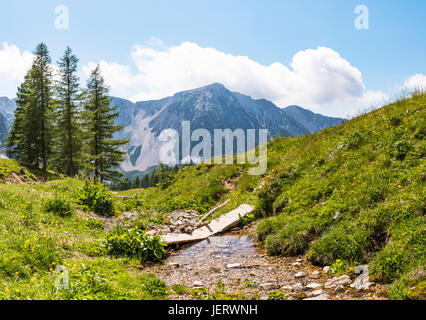 Brücke über den kleinen Creek auf Maltschacher Alm mit Karawanken und Berg Weinasch gebrochen Stockfoto