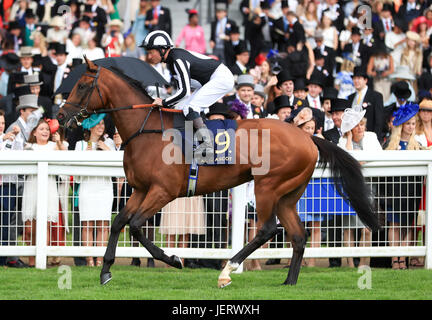 Matchmaker geritten von Jockey Seamie Heffernan geht, bevor die Chesham Einsätze Posten Stockfoto