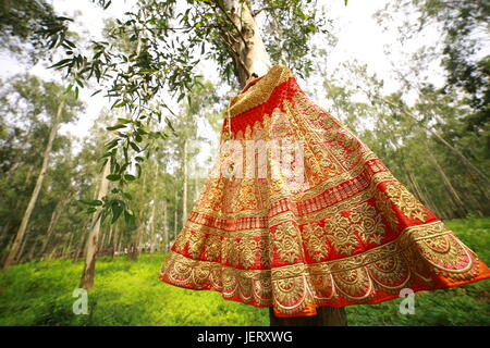 Indische Hochzeit Lehenga Stockfoto