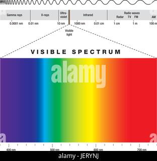 grüne Augen Stock Vektor