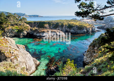 Point Lobos State Reserve am Highway 1 in Kalifornien Stockfoto