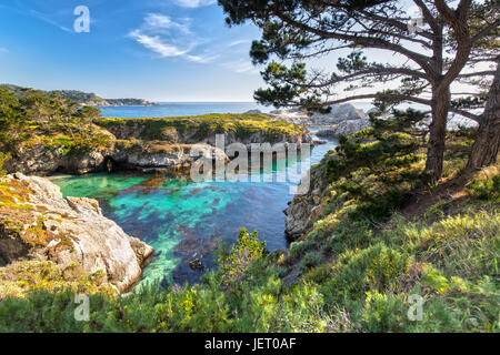 Point Lobos State Reserve am Highway 1 in Kalifornien Stockfoto