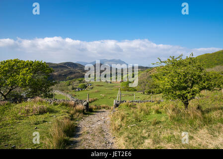 Schöne Landschaft in den Hügeln in der Nähe von Harlech im Snowdonia National Park, Nord-Wales. Stockfoto