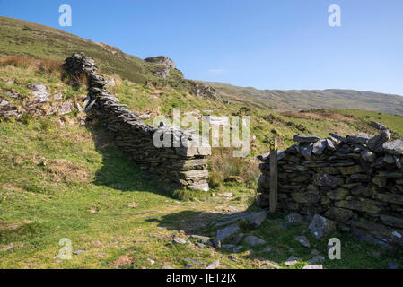 Steinwände in den zerklüfteten Hügeln in der Nähe am Llandecwyn in der Nähe von Harlech, Snowdonia, Wales. Stockfoto