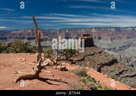 Blick von Cedar Ridge, Grand Canyon Stockfoto