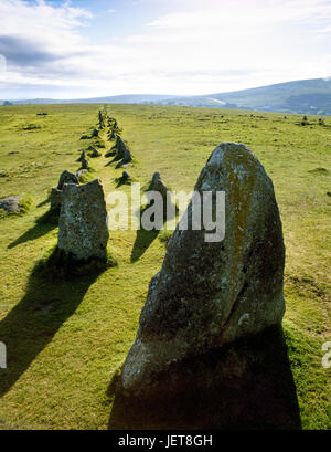 W Blick entlang der südlichen von zwei steinernen Doppelreihen auf Merrivale auf Dartmoor. Der späten Jungsteinzeit "Avenue" hat einen zentralen Cairn, ist geöffnet am W Ende & b Stockfoto