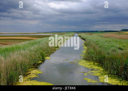 Cley Naturschutzgebiet, North Norfolk, england Stockfoto