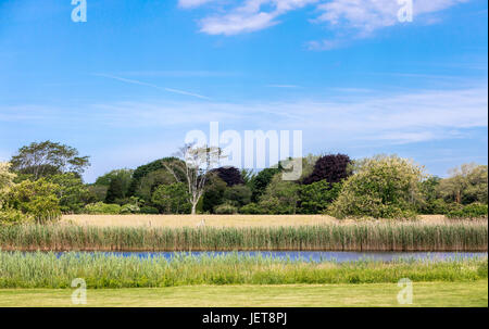 schönen Naturpark in der Nähe teuren Wohnungen und dem Strand in East Hampton, NY Stockfoto