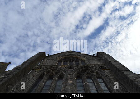 Foto von Paisley Abby aufgegriffen schließen mit ein Würmer Eye View. Stockfoto