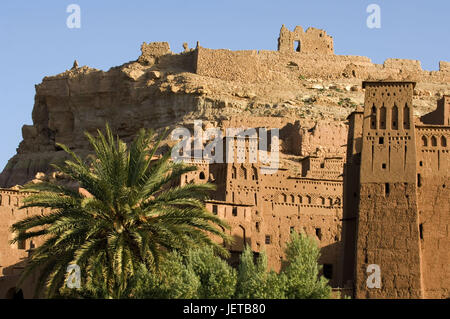 Marokko, Aït-Ben-Haddou, lokale Ansicht, Palmen, Afrika, Nordafrika, Ort, Ksar, Häuser, mucky Bauweise, in der Regel in der Regel für Land, mucky Häuser, Architektur, mucky Architektur, Vegetation, draußen, menschenleer, Ort von Interesse, UNESCO-Weltkulturerbe, Reiseziel, Rock, Stockfoto