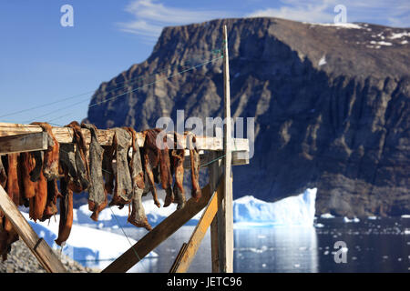 Grönland, Uummannaq, Holzgestell, Detail, getrocknete Fische, hängen, Hintergrund, Eisberge, Galle Küste, nördliche Grönland, in der Regel, Fische, Speisefisch, Trocknung, post, Lebensmittel, in der Regel für Land, Erhaltung, Trockenfisch, Luft trocknen, draußen, menschenleer, Saiten, die Arktis, Eis, Fjord, Shore, Unschärfe, Stockfoto