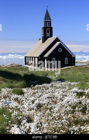 Grönland, Disko-Bucht, Ilulissat, Wollgras, Wollgras spec, Westgrönland, der Arktis, Sommer, Vegetation, Botanik, Rasen, Pflanzen, Schilf Grass, Blume Ärmel, Ufer, Küste, Landschaft, außerhalb, verlassenen, Kirche, Heilige Bau, Architektur, glauben, Religion, Christentum, Kirche, Wiese, Stockfoto