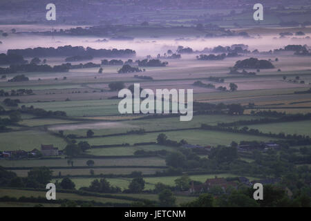 Großbritannien, England, Somerset, Landschaft, Felder, Ansicht, neblig, Europa, Breite, Abstand, Bereich Landschaft, Bäume, Abgrenzung, Landwirtschaft, Nebel, Dämmerung, Farmen, isoliert, aus der Ferne, Häuser, Stockfoto