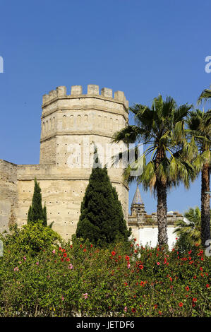 Spanien, Andalusien, Provinz Cadiz, Jerez De La Frontera, Blick auf Alcazar, Stockfoto