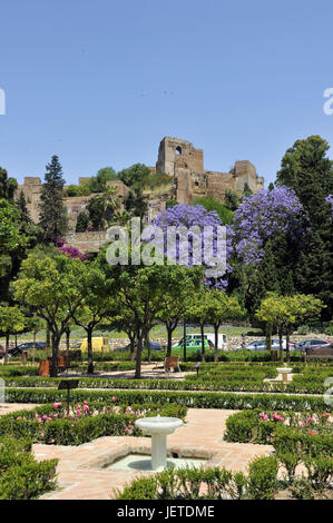 Spanien, Malaga, Pedro Luis Alonso Garten und Alcazaba, Stockfoto