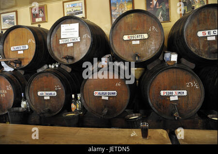 Spanien, Malaga, Weinfässer in der Weinbar, Stockfoto