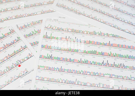 Sanger-Sequenzierung Ergebnis Blatt Stockfoto