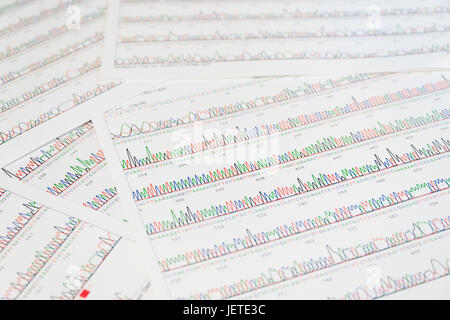 Sanger-Sequenzierung Ergebnis Blatt Stockfoto