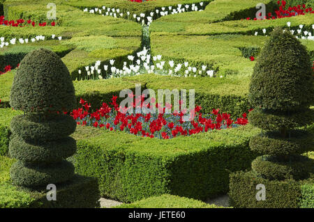 Frankreich, Schloss Villandry, Schloss-Garten, Stockfoto