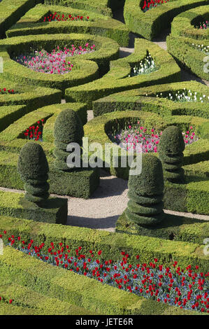 Frankreich, Schloss Villandry, Schloss-Garten, Stockfoto