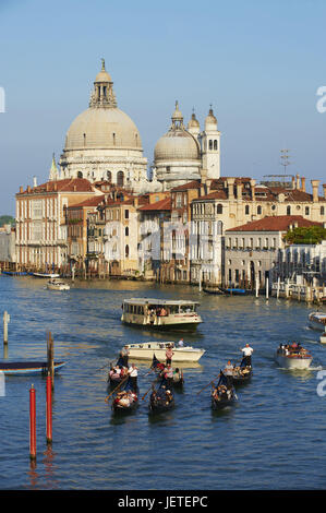 Italien Venedig, Messenger auf dem Canale Grande im Hintergrund grüßt die Kirche Santa Maria della, Stockfoto