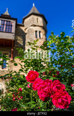 Schloss Braunfels aka Schloss Braunfels, Braunfels, Hessen, Deutschland Stockfoto