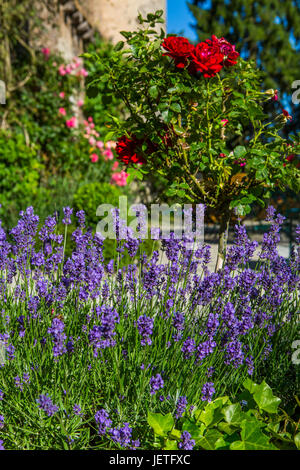 Schloss Braunfels aka Schloss Braunfels, Braunfels, Hessen, Deutschland Stockfoto