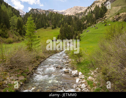 Ratschings-Tal im Süden Südtirol, Italien. Blick ins Tal im Sommer Stockfoto