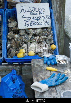 Marktstand mit pazifischen Felsenaustern im Hafen von Cancale, Bretagne, Frankreich., Marktstand Mit Pazifischen Felsenaustern Im Hafen von Cancale, Br Stockfoto