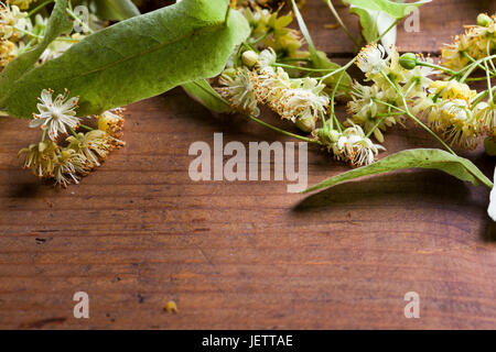 Frische aromatische Linden blühen auf alten hölzernen Hintergrund. Aromatisch und nützliche gesunde Kräutertees. Stockfoto