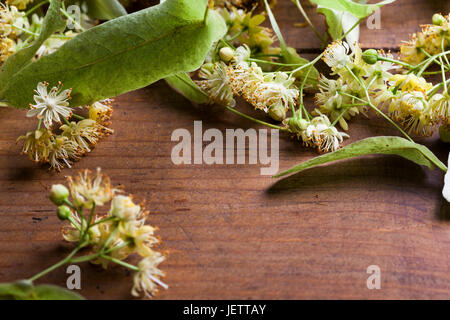 Frische aromatische Linden blühen auf alten hölzernen Hintergrund. Aromatisch und nützliche gesunde Kräutertees. Stockfoto