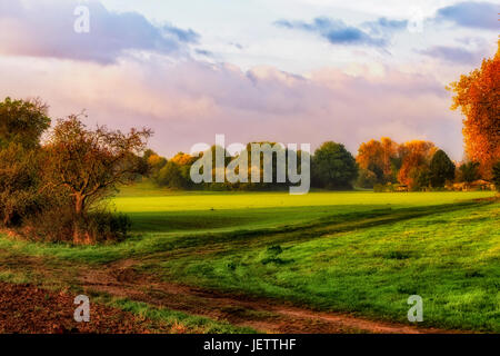 Ländliche Kunst Herbst Wasser-farbigen Sonnenaufgang in warmen Farbtönen und impressionistischen Vintage Stil, Bäume, Felder, Pfad, herbstlichen Farben malen Stockfoto