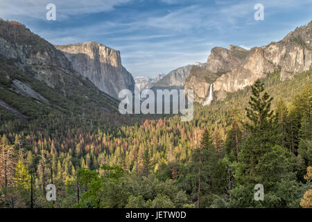 Tunnel View im Yosemite National Park Stockfoto