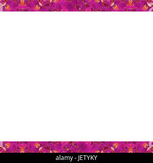 Weißer Rahmen mit eingerichteten Grenzen Stockfoto