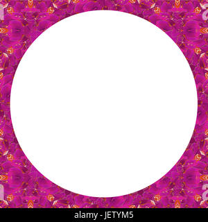 Weißer Rahmen mit eingerichteten Grenzen Stockfoto