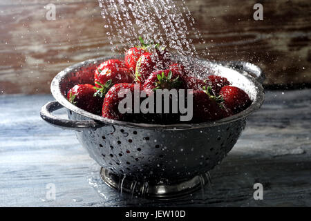 Rote frisch gepflückte Erdbeeren werden unter fließendem Wasser gewaschen Stockfoto