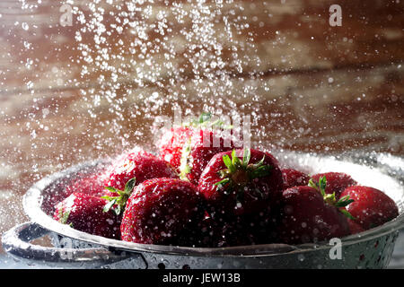 Rote frisch gepflückte Erdbeeren werden unter fließendem Wasser gewaschen Stockfoto