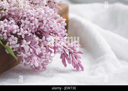 Nahaufnahme von lila Blüten auf einem Tisch Stockfoto