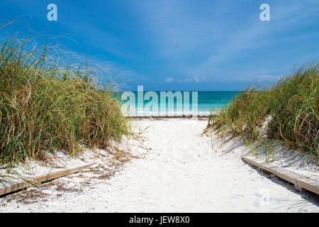 Strand im Bahia Honda State Park in Florida Stockfoto