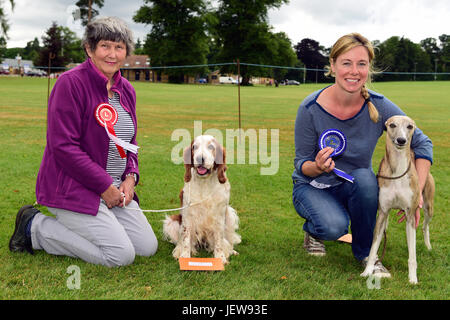 Besitzer mit ihren Cannines (Welsh Springer & Whippet), die ersten & zweiten Preis in der Kategorie beste sportliche Hunde eine Begleiter-Hundeausstellung, Alton gewonnen, Stockfoto