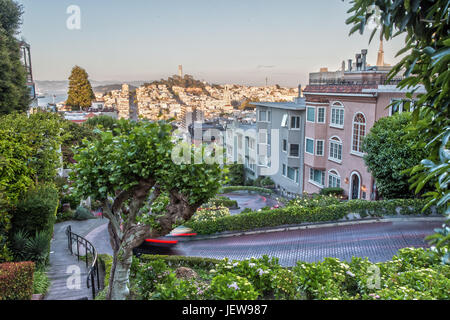 Lombard Street in San Francisco Stockfoto