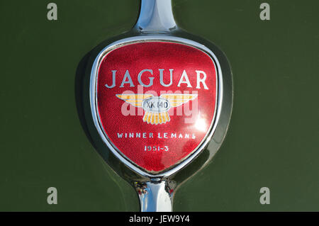 Jaguar XK 140 emblem Stockfoto