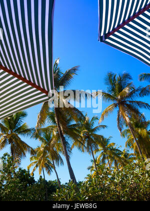 Sonnenschirme auf Mustique Stockfoto
